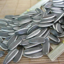 Perfect Quality Sunflower Seeds From Shandong Guanghua Inner Mengulia